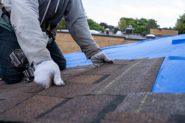 Best Roof Ventilation Installation  in Eastport, ME