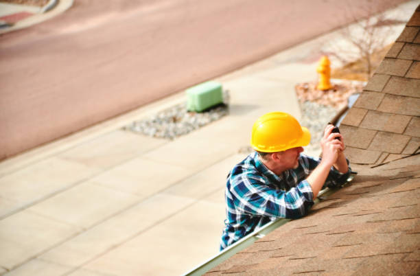 Best Roof Moss and Algae Removal  in Eastport, ME